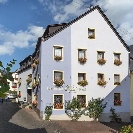 Hotel-restaurant Ehses 3*