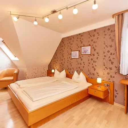 Hotel-restaurant Ehses فندق 3*
