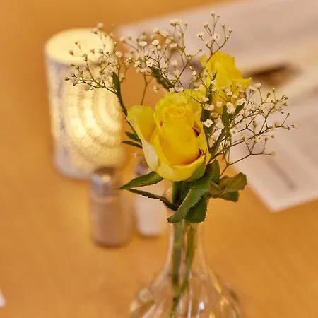 Hotel Hotel-restaurant Ehses Zeltingen-Rachtig