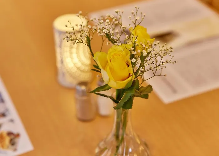 Hotel Hotel-restaurant Ehses Zeltingen-Rachtig